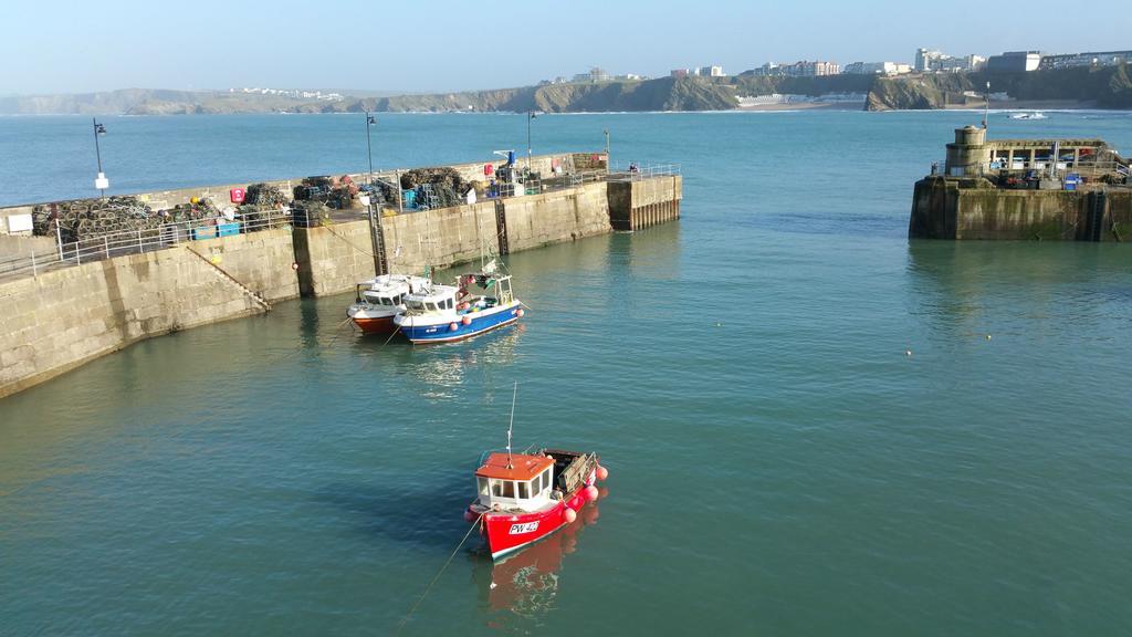Bed and Breakfast Cliff House New Quay Exterior foto